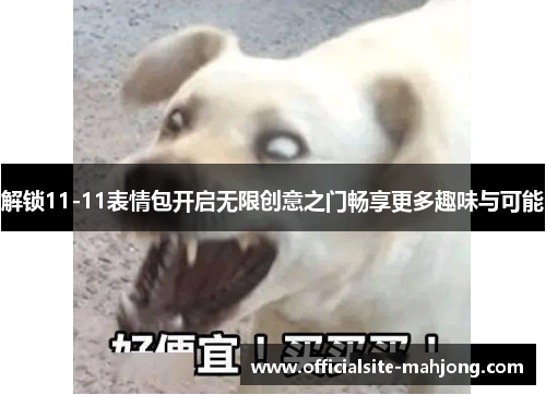 解锁11-11表情包开启无限创意之门畅享更多趣味与可能