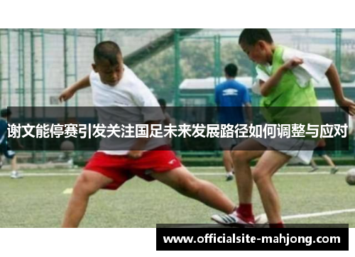 谢文能停赛引发关注国足未来发展路径如何调整与应对