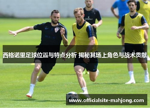 西格诺里足球位置与特点分析 揭秘其场上角色与战术贡献